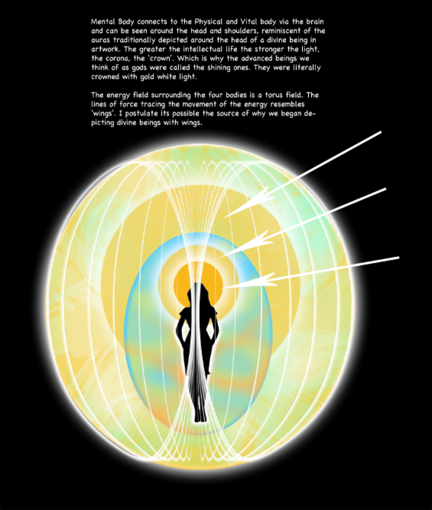 magnetic fields figure two_sm.jpg