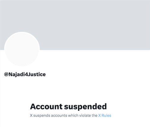 suspended.jpg