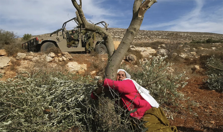 palestinian woman holding onto her tree.jpg