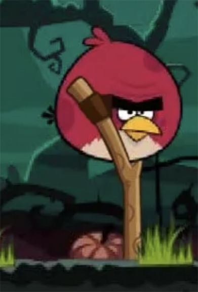 fat chicken roosting.jpg