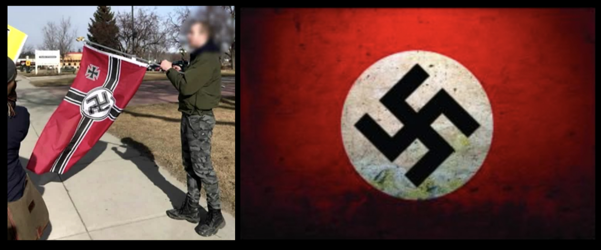 nazi flags.jpg