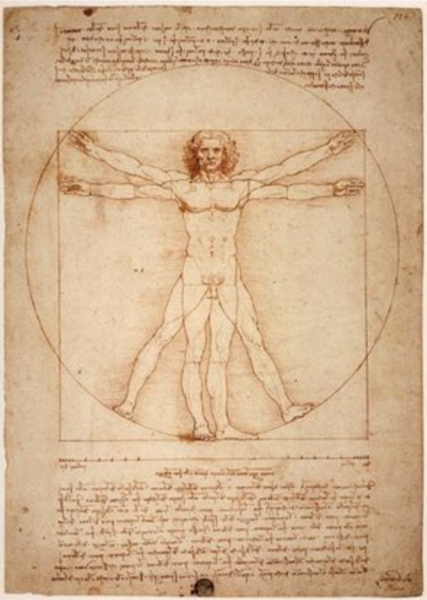 Leonardo da Vinci The Vitruvian Man.jpg